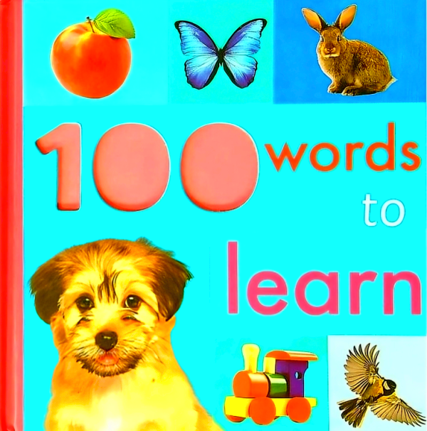 100 Words To Learn Online Hot Sale